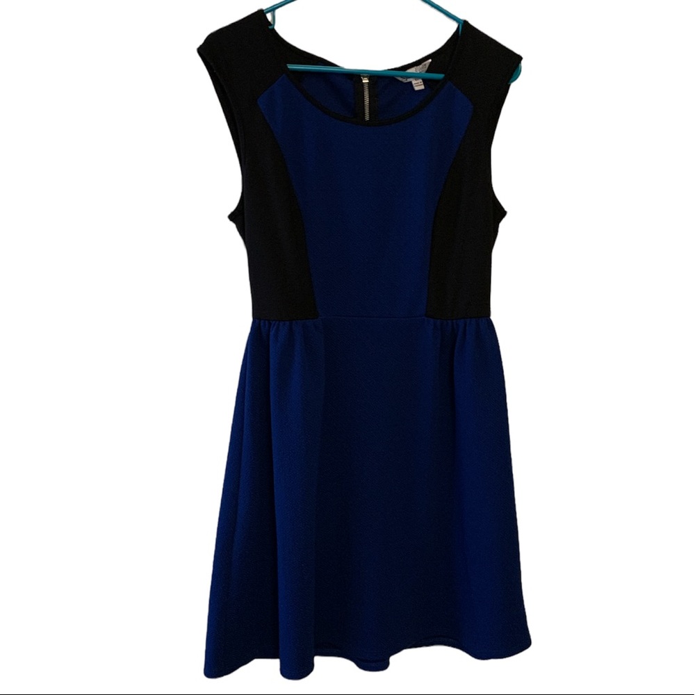 Black & Blue Dress